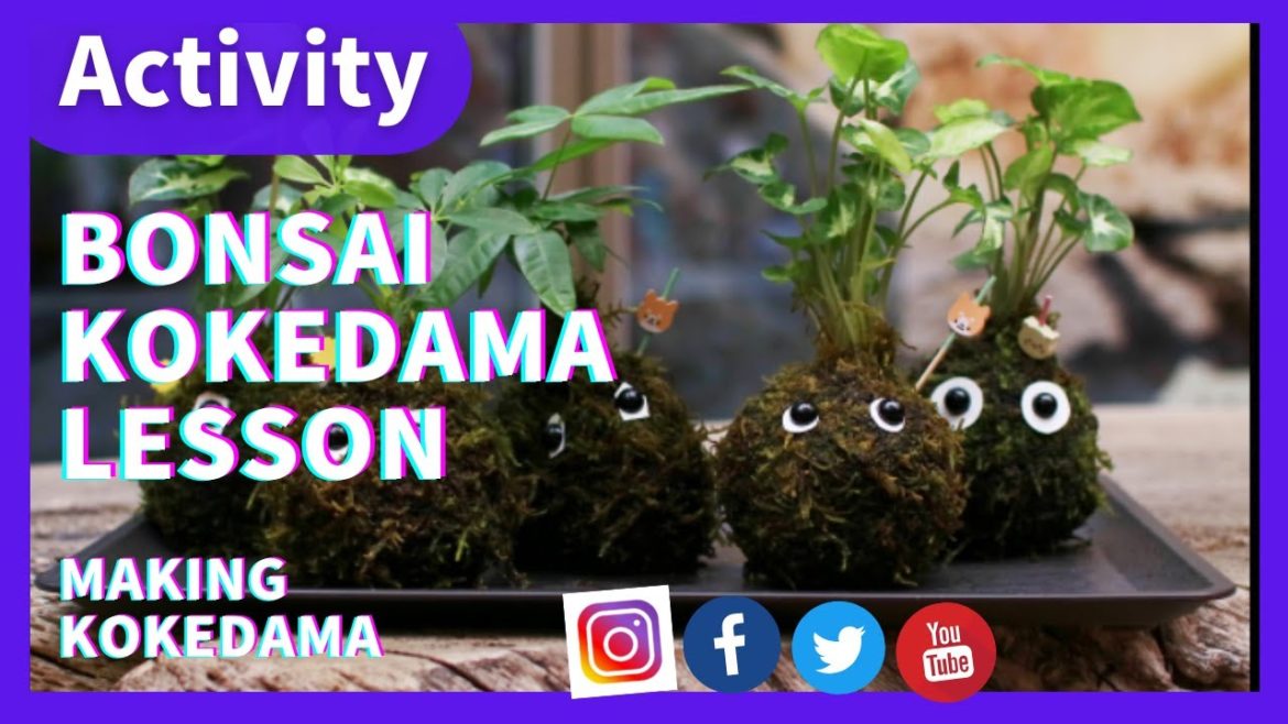 [ Tokyo Travel Guide ] Bonsai lesson for beginners - Japanese moss ball