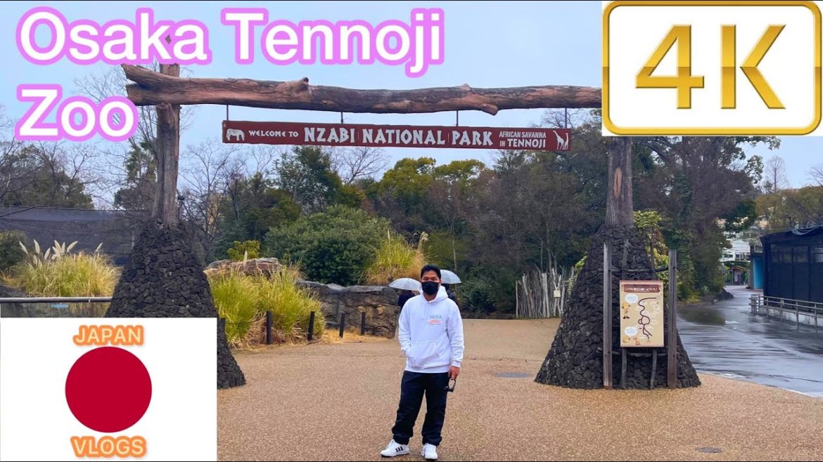 tennoji zoo osaka Walking tour osaka japan 2022