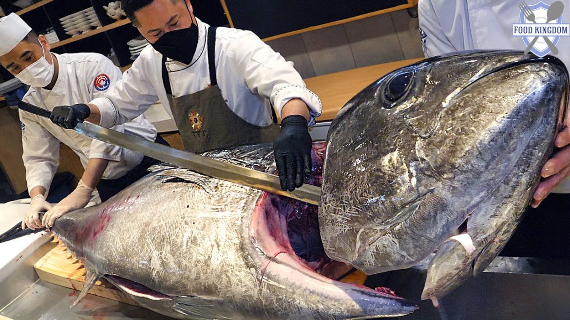한시간 순삭! 거대한 생참치 해체쇼와 대왕민어 일품 코스요리 몰아보기 / Giant tuna cutting show and Luxurious sashimi course