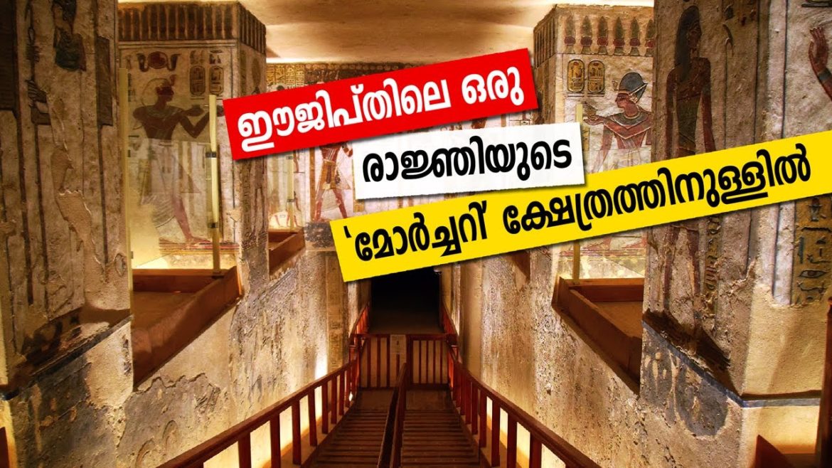 | Sancharam | Egypt 8 |Safari TV | Sancharam | Egypt 8 |Safari TV