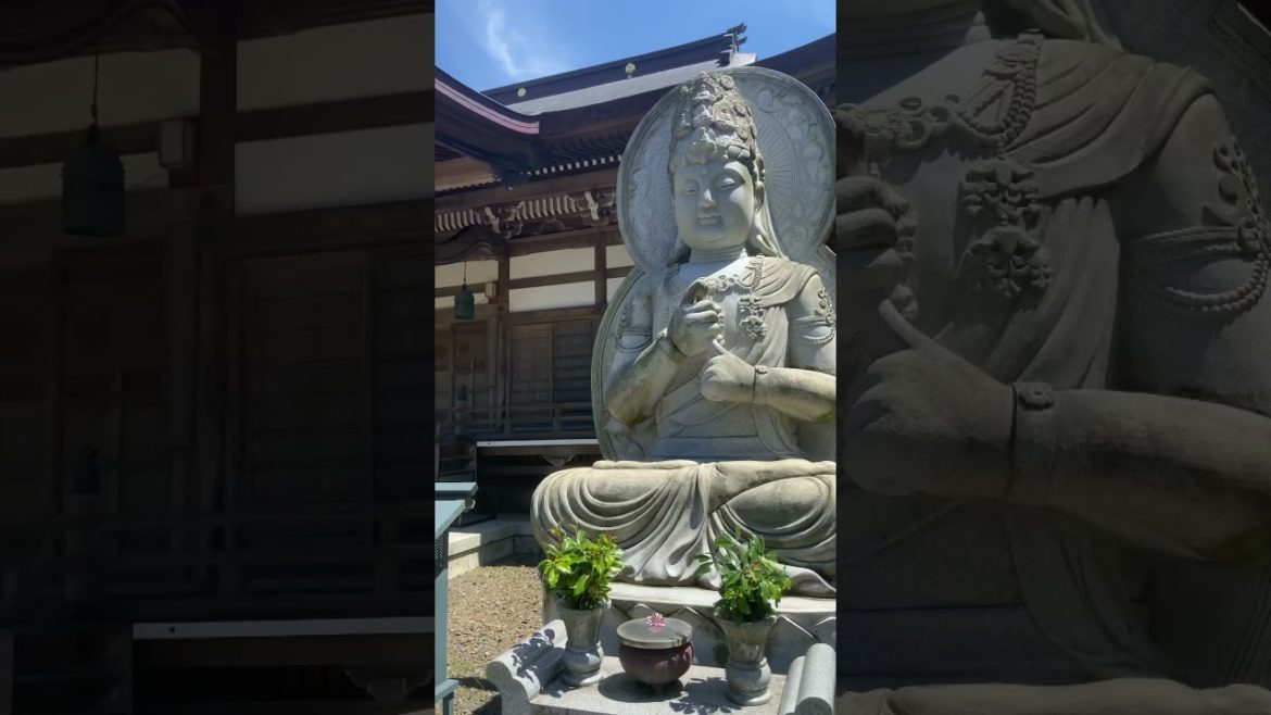 PREVIEW! Hirado, Japan #SHORTS PREVIEW! Hirado, Japan #SHORTS