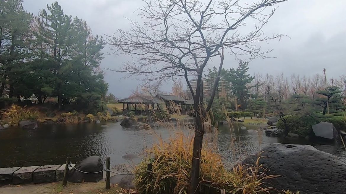 [Rain Walk]Rainy Walk in Japan during Typhoon /Heavy rain walk in Niigata