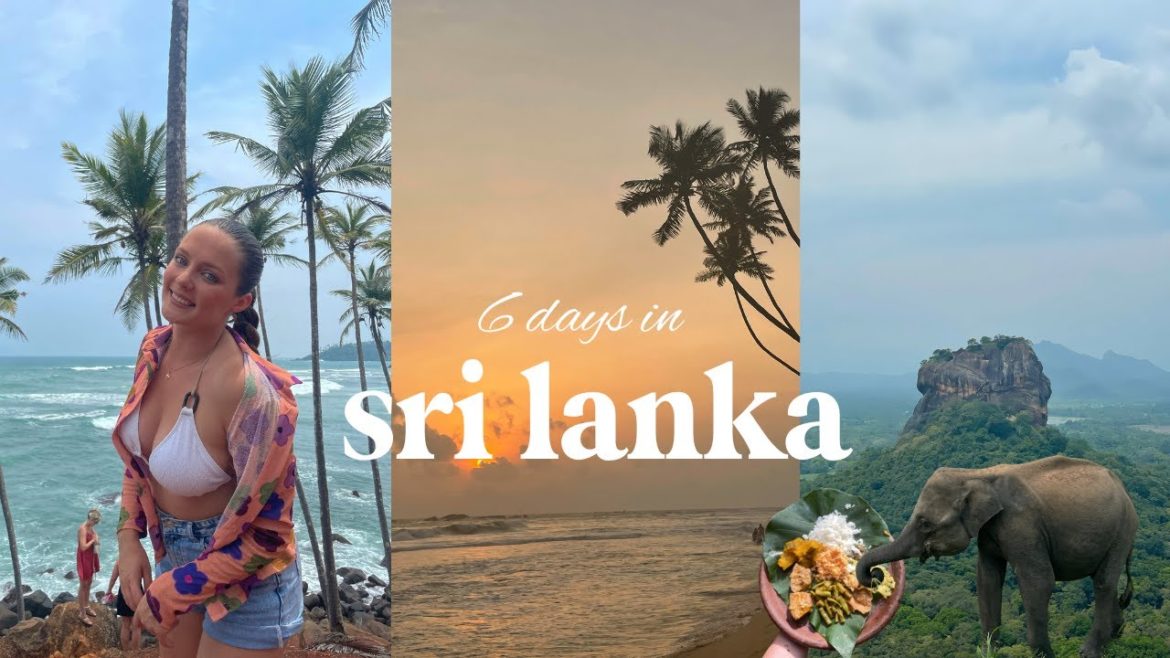 sri lanka travel vlog: dambulla, kandy, ella, hikkaduwa π π±π° sri lanka travel vlog: dambulla, kandy, ella, hikkaduwa π π±π°