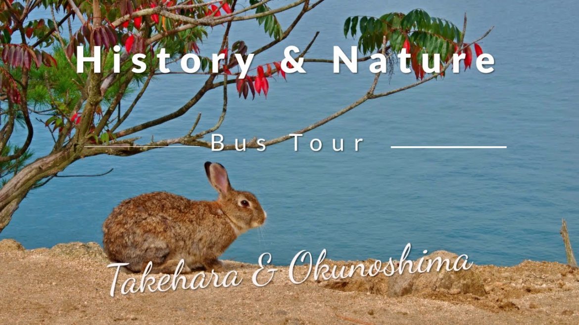 Bus Tour: Takehara and Okunoshima Rabbit Island Bus Tour: Takehara and Okunoshima Rabbit Island