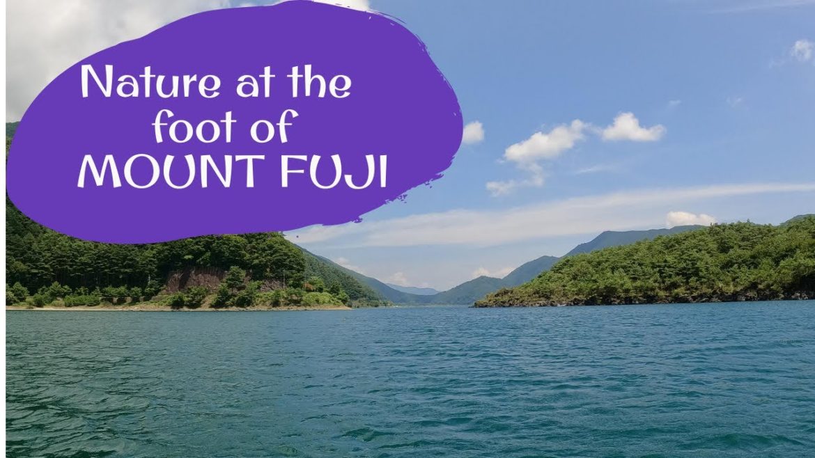 Nature at the Foot of Mount Fuji