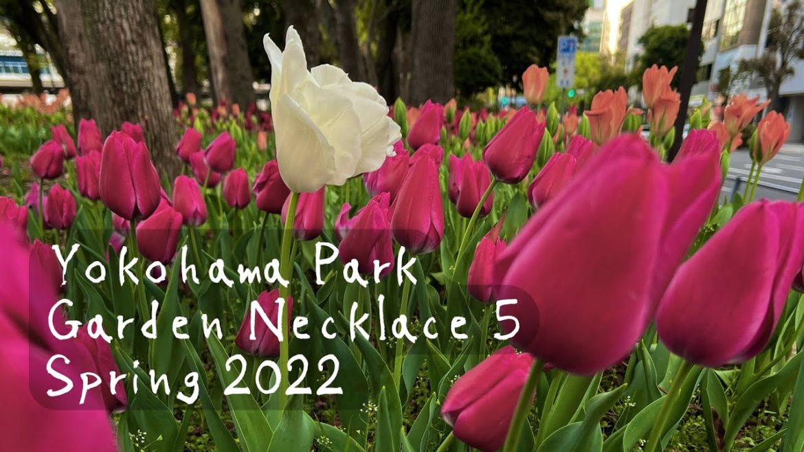 Yokohama Park | Garden Necklace 5 | Spring 2022
