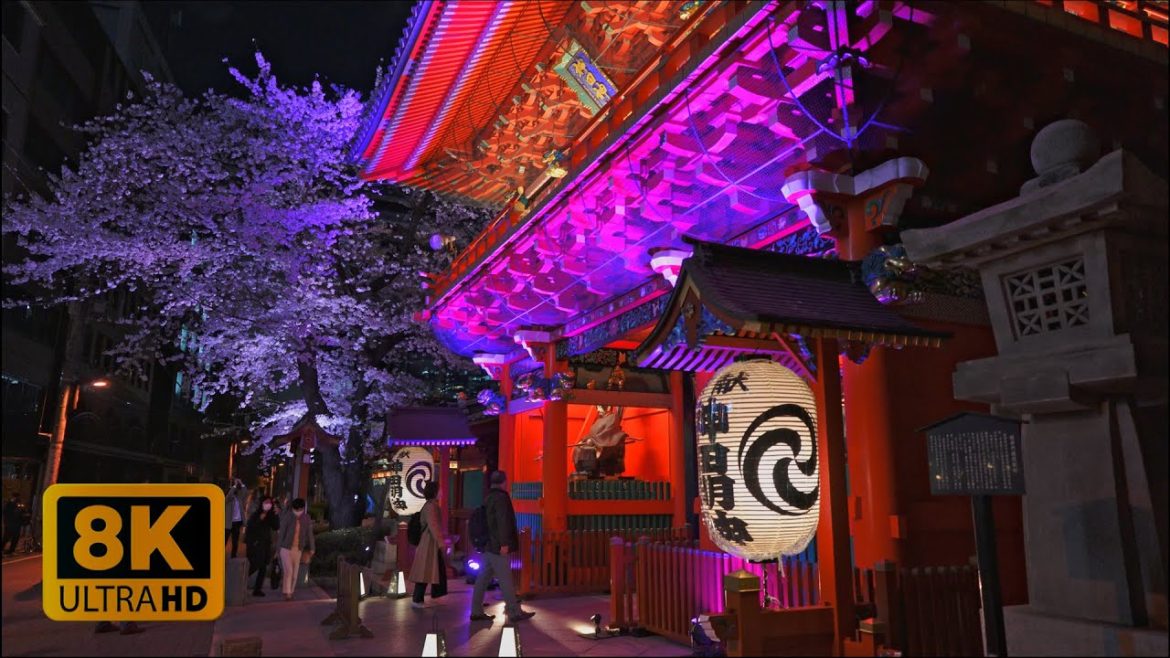 4K 8K Sakura in Kanda Myojin Shrine near Akihabara 2022