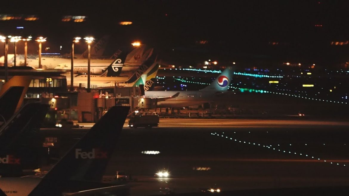 Tokyo Narita Airport LIVE