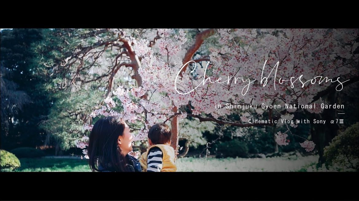 Cherry blossoms in Shinjuku Gyoen National Garden | CINEMATIC VLOG Cherry blossoms in Shinjuku Gyoen National Garden | CINEMATIC VLOG