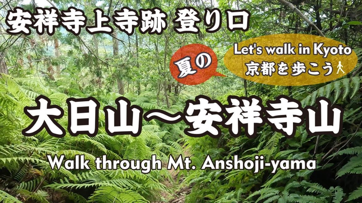 Kyoto Japan【4K】大日山から安祥寺山登り口（大日山/標高326m山頂→京都トレイル東41→安祥寺林道→石碑・安祥寺上寺跡登り口）Walk through Mt. Anshoji-yama