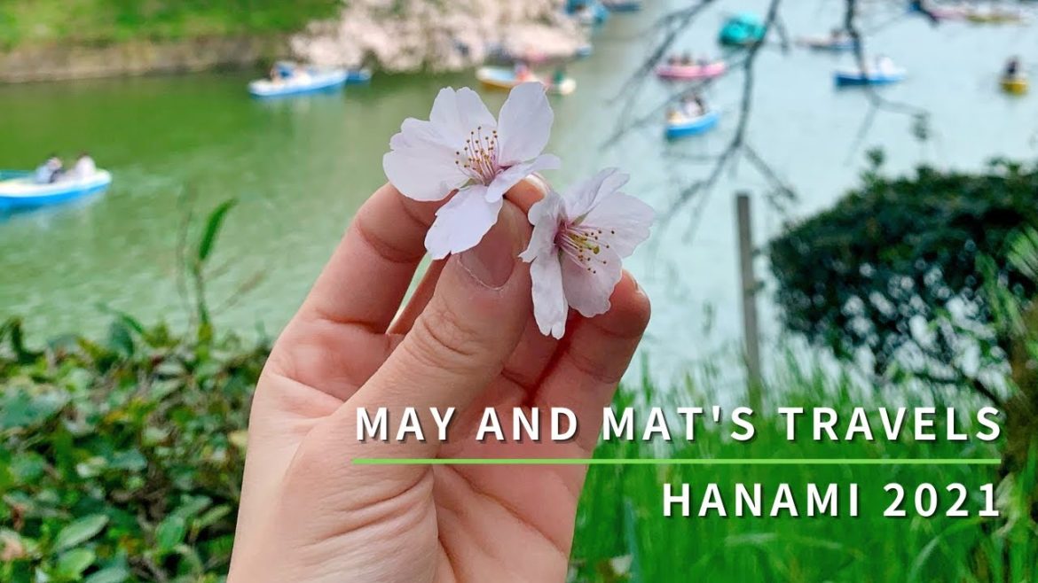 Hanami 2021 || Tokyo Travel Vlog