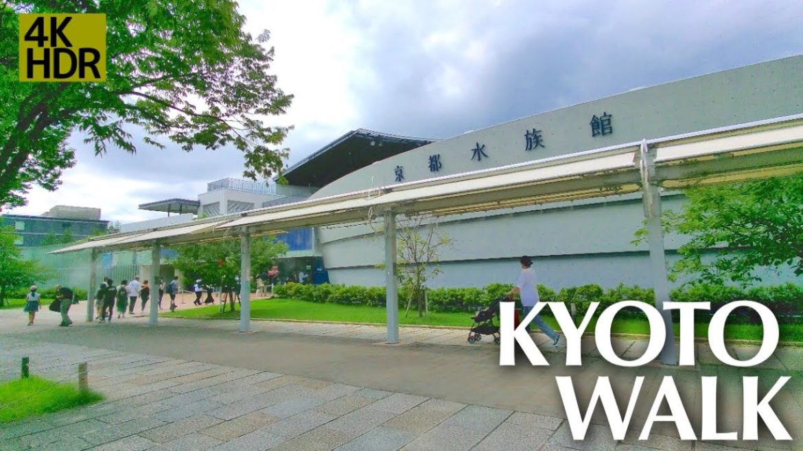 【京都散策】京都駅から歩いて京都水族館、梅小路公園へ【4K】