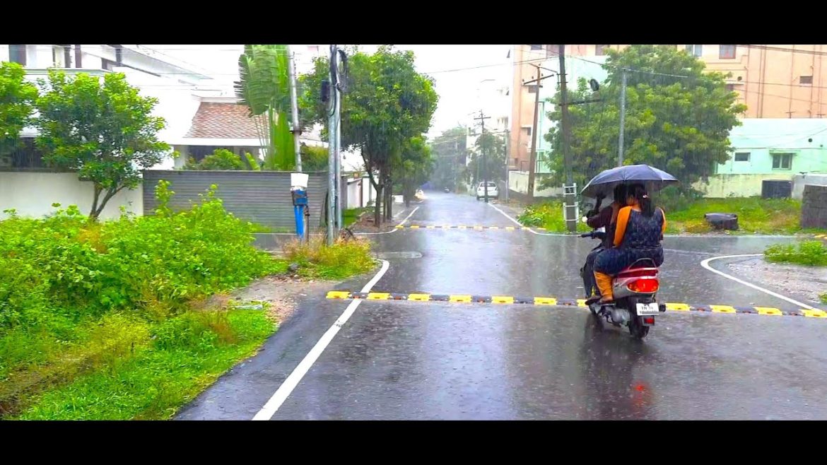 Rainy Day Walking in Heavy Rain on Streets of Tamilnadu | ASMR Rain Sounds for Deep Relaxing Sleep