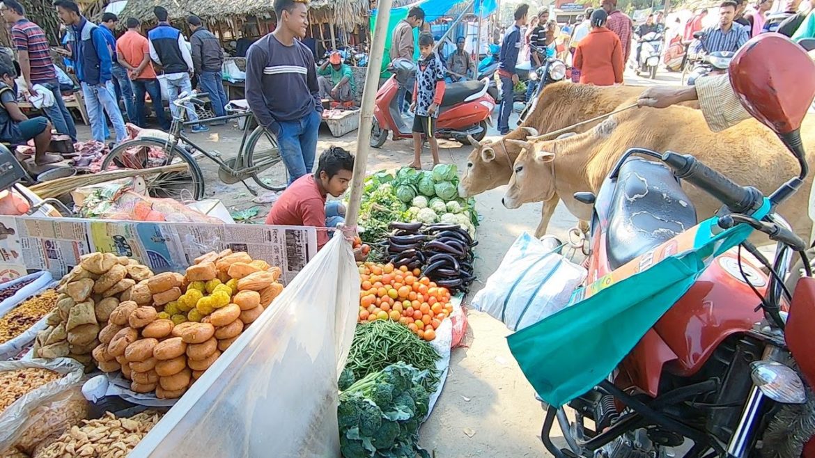 TUESDAY Naharkatiya Market Tour | North-East India Travel Vlog | Assam Travel Video