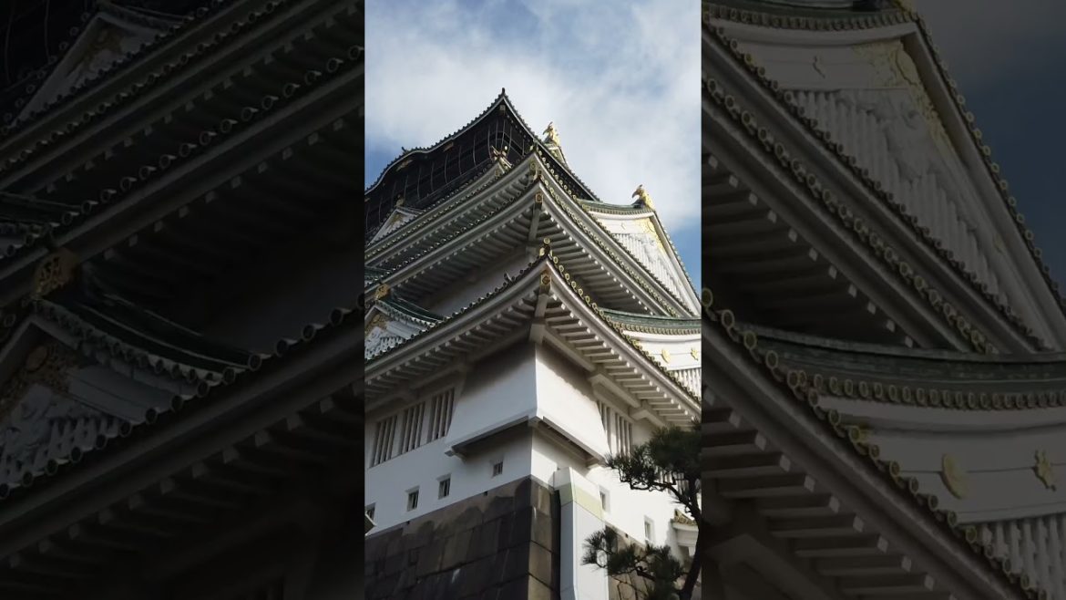 Osaka Castle Walking Timelapse