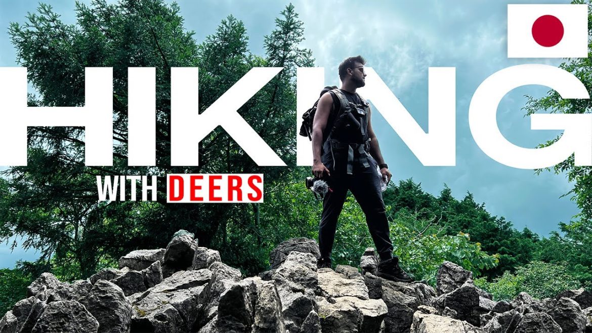 Hiking with deer  II Mt Ryugatake  II Indians in Japan II @Amit kandwal Diaries