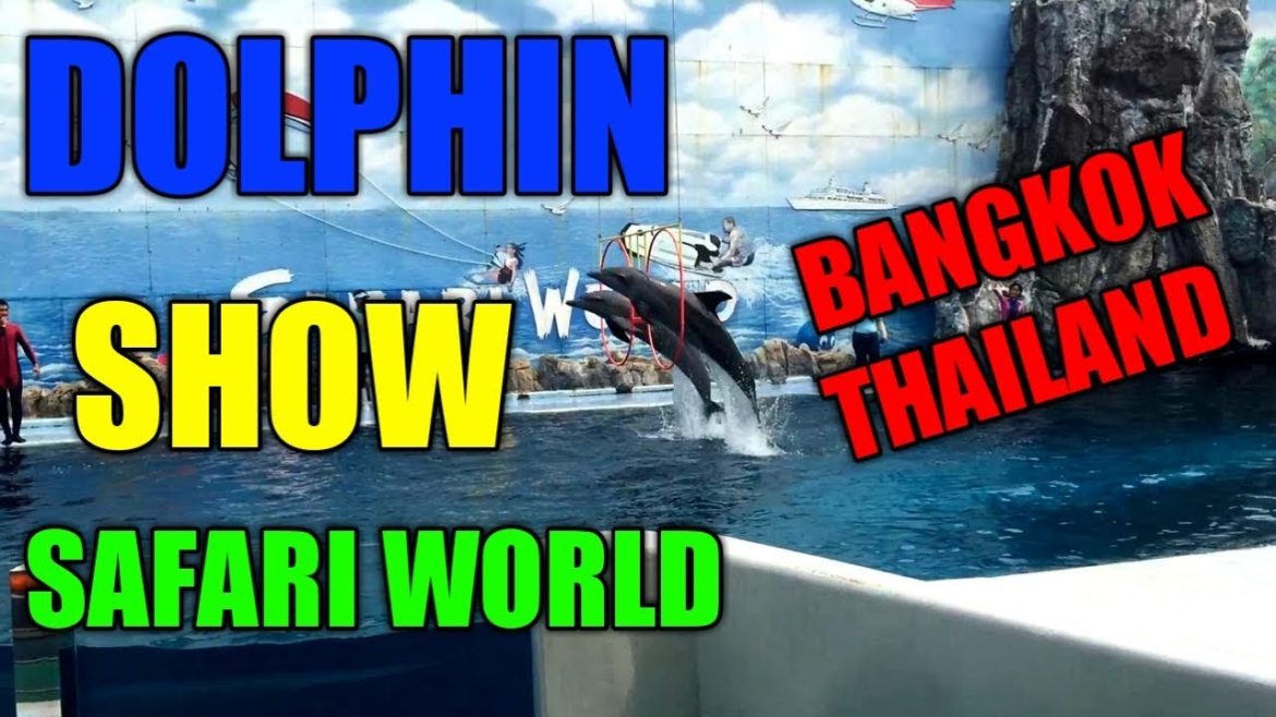 Dolphin Show in Safari World Bangkok Thailand.