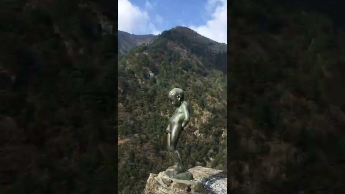 8月11日 ＃山の日 山に親しむ機会を得て、山の恩恵に感謝する日⛰ #shorts