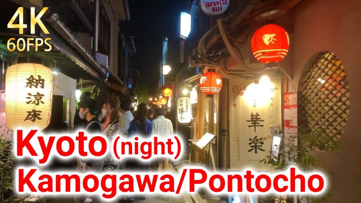 【Kyoto Kamogawa/Pontocho at night 鴨川先斗町】A night walk in Pontocho along the Kamogawa River
