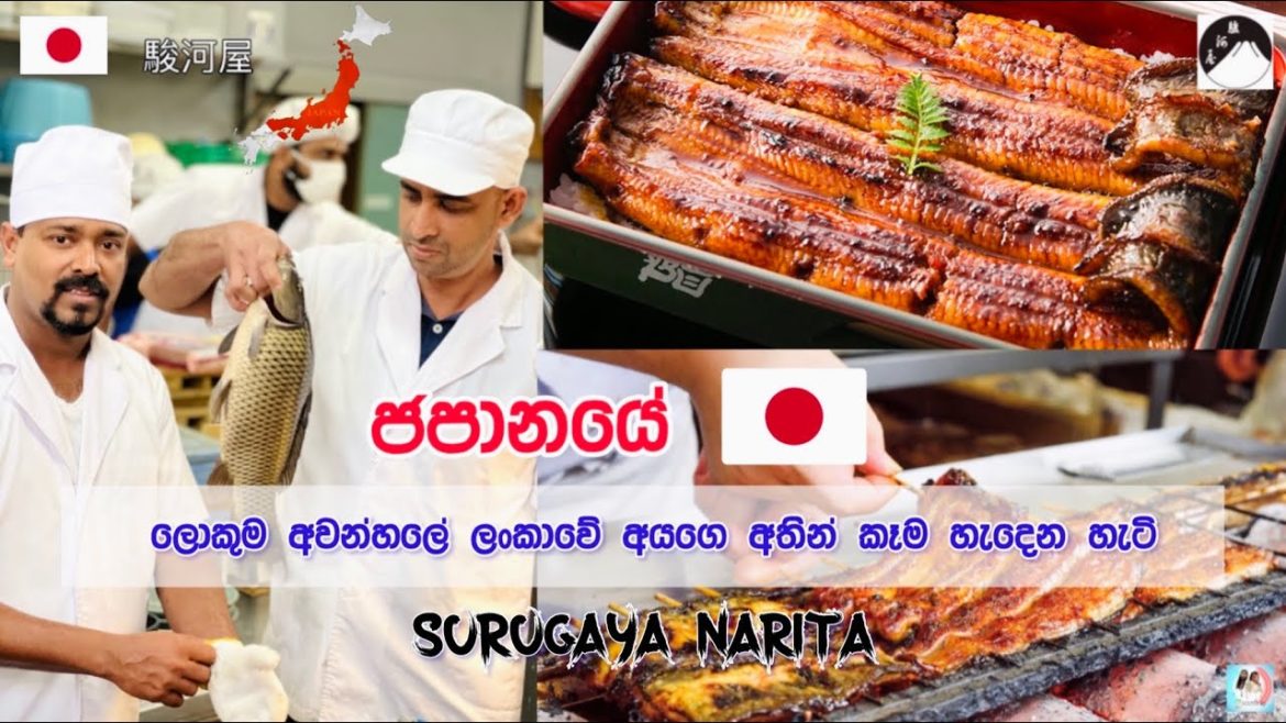 රු.13000 දීලා ජපානයේ කඩේකින් කෑව අමු මාලු |Tha best restaurant Surugaya From Naritha Japan 🇯🇵| 駿河屋 රු.13000 දීලා ජපානයේ කඩේකින් කෑව අමු මාලු |Tha best restaurant Surugaya From Naritha Japan 🇯🇵| 駿河屋