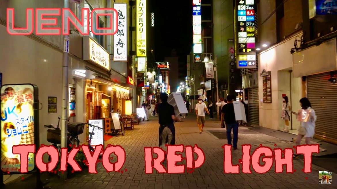 【4K】TOKYO RED-LIGHT WALKING TOUR ~ UENO NAKAMACHI DORI STREET ~  JAPAN TRAVEL【上野仲町通り】