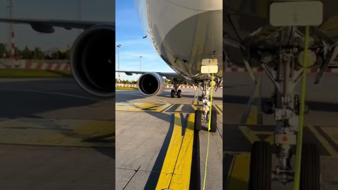 Turkish airlines Turkish airlines