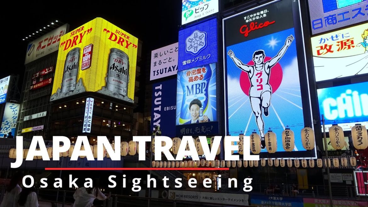 osaka sightseeing dotonbori version, japan travel