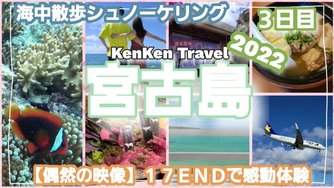 宮古島 夫婦旅【その３】海中散歩シュノーケリング　伊良部そば かめ　17END　シギラベイサイドスイート アラマンダ　炭火焼肉 琉宮苑