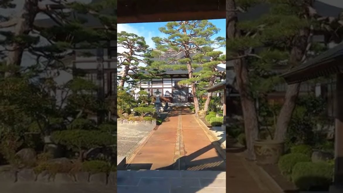 beautiful naturel place In japan#Japan Temple#japanese #srilanka #viral #short