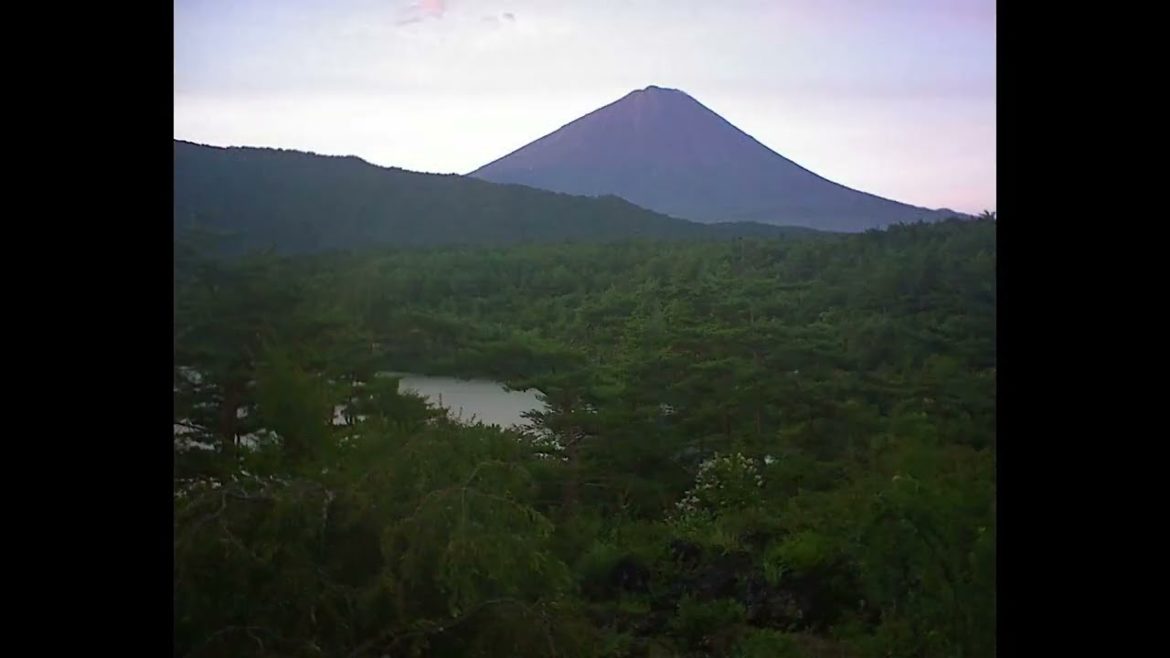 Mt  Fuji Time Lapse Video from Lake Saiko Fujiyama Live Camera 19 in 2022 7