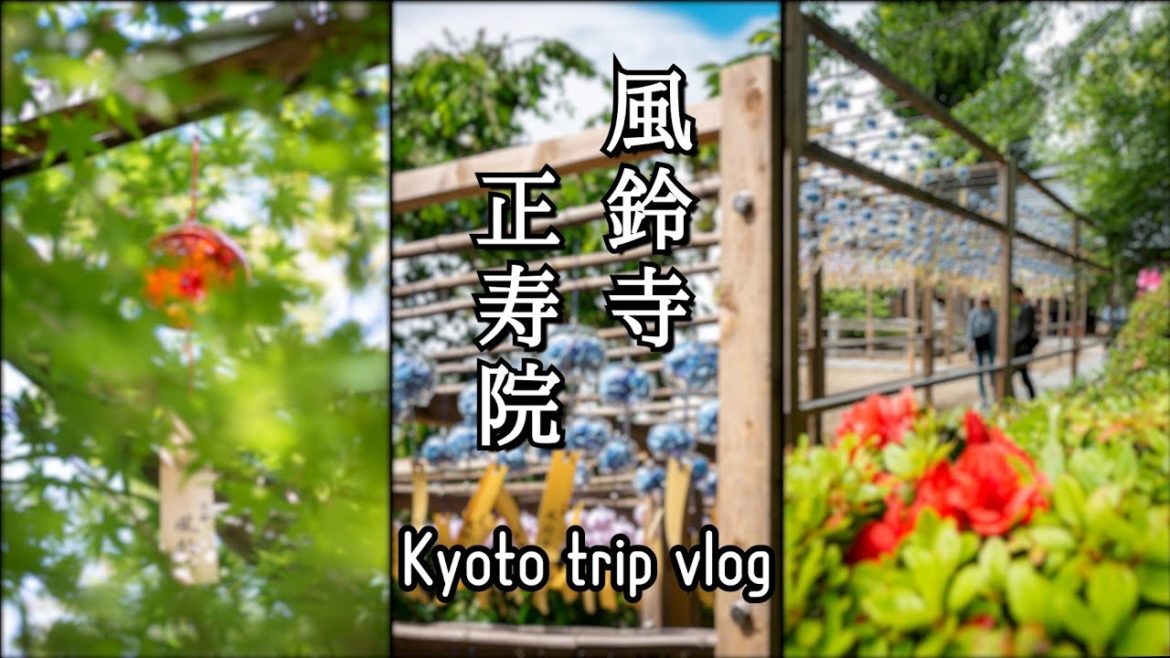 【京都vlog】約2,000個の風鈴が美しすぎる寺│初代GX7│kyoto trip【観光】