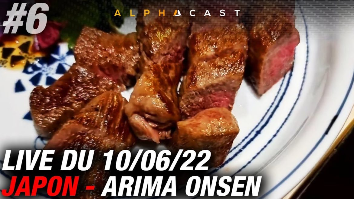 LA LÉGENDE DU BOEUF WAGYU A5 DE KOBE (ça défonce) – JAPON JOUR #4 ► CHECKPOINT N°2 LA LÉGENDE DU BOEUF WAGYU A5 DE KOBE (ça défonce) - JAPON JOUR #4 ► CHECKPOINT N°2