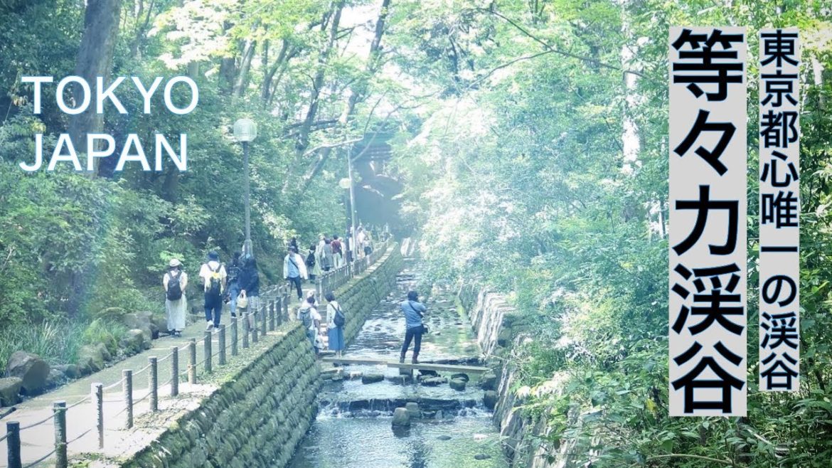 【等々力渓谷】東京23区唯一の渓谷を散歩　等々力不動尊と日本庭園も　TODOROKI VALLEY in central TOKYO