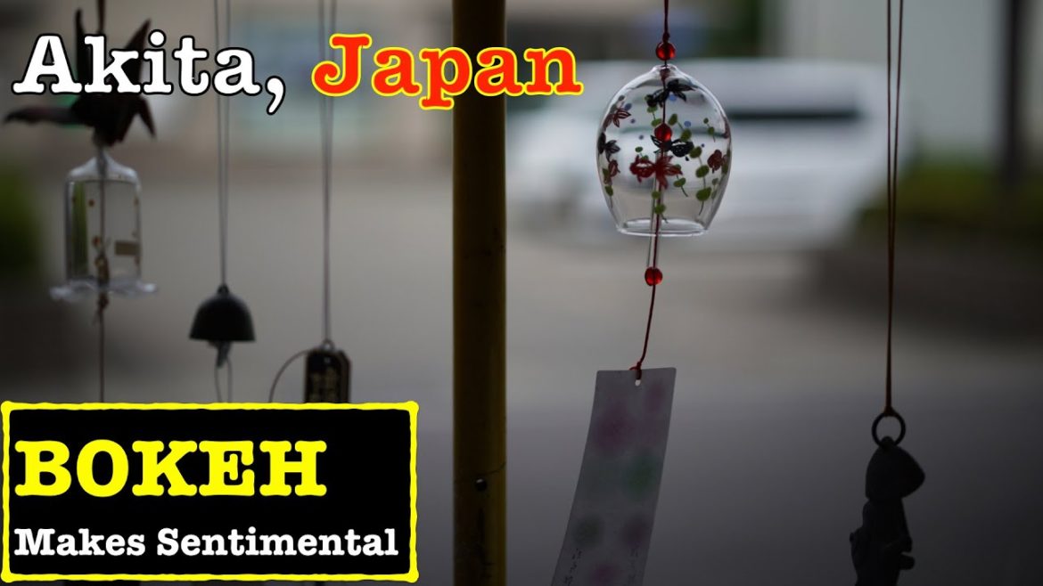 [BOKEH]Japan Walk - Wind chimes in Masuda Town, Summer weekday afternoon