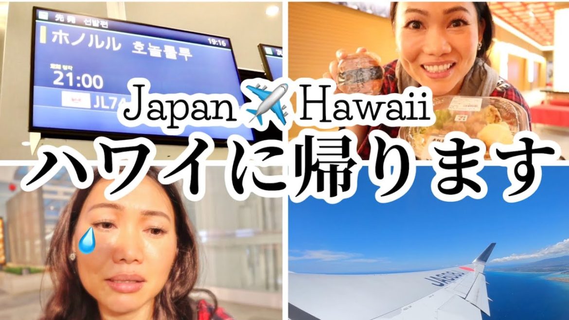 福岡からハワイに帰国／羽田ーホノルルフライト、羽田空港のレストランが😭 ひとり涙🥲JALでただいまハワイ