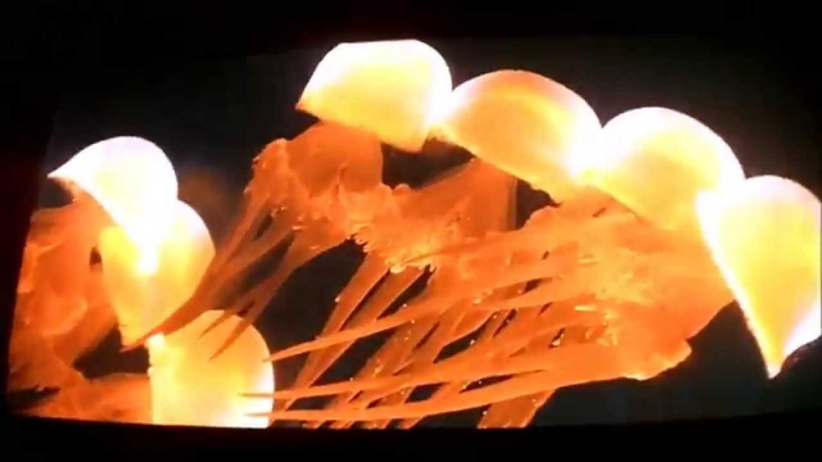 Two Minute Travel: Osaka Aquarium Kaiyukan