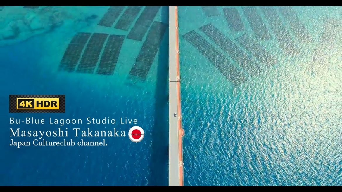高中正義  【 Bu-Blue Lagoon 】 MASAYOSHI TAKANAKA ＃高中正義 #bluelagoon ＃beach #dronevideo #hawaii