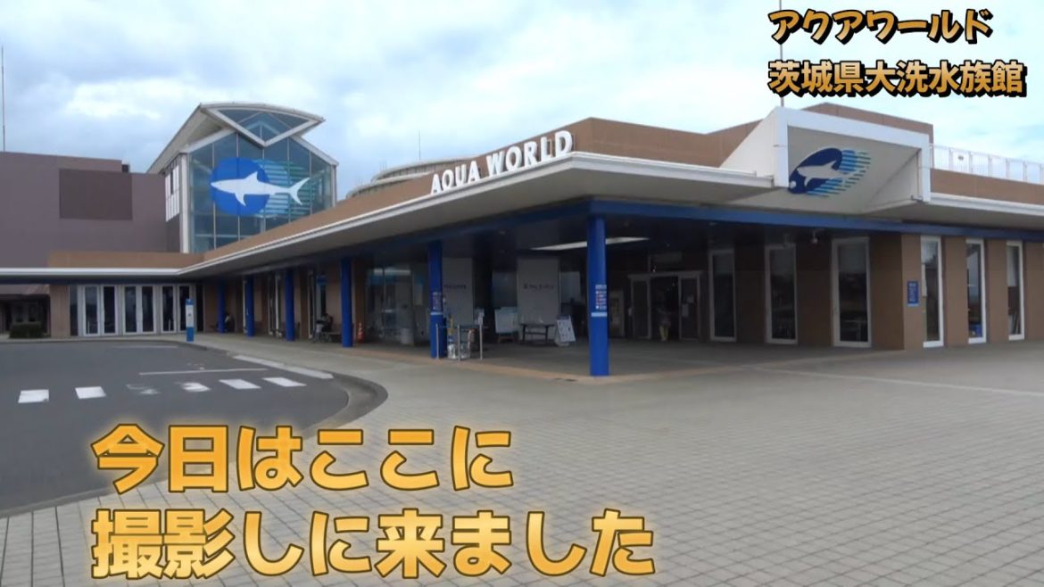 2022/08/04 アクアワールド茨城県大洗水族館に行ってきました。