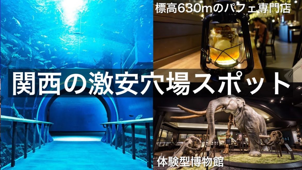 関西の激安穴場スポット / 水族館や体験が神コスパ‼︎ 丸一日楽しめる琵琶湖博物館 / 幻想的な空間、標高680mの絶景とパフェ専門店LAMP / 滋賀観光スポット 旅行vlog 関西の激安穴場スポット / 水族館や体験が神コスパ‼︎ 丸一日楽しめる琵琶湖博物館 / 幻想的な空間、標高680mの絶景とパフェ専門店LAMP / 滋賀観光スポット 旅行vlog