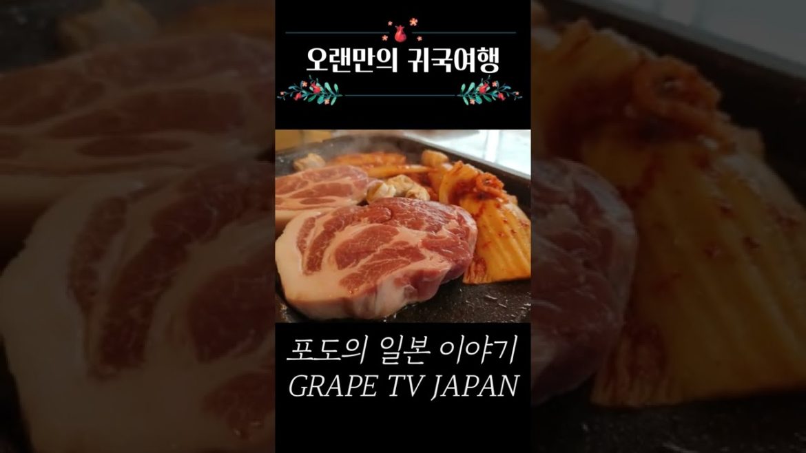 오랜만의 귀국여행(일본→한국→일본) #shorts 오랜만의 귀국여행(일본→한국→일본) #shorts