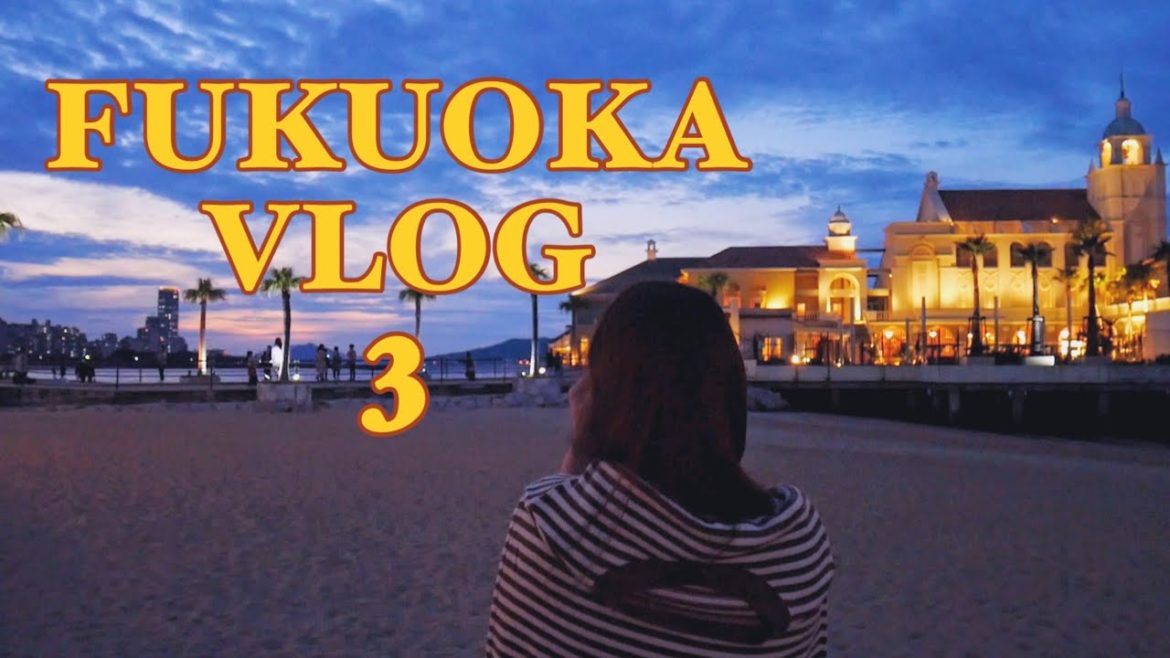 후쿠오카여행 VLOG #3 | 모모치해변, 후쿠오카타워, 레드락, 키와미야함바그, 앨리스샵, 오호리공원, 텐진호르몬 | fukuoka trip