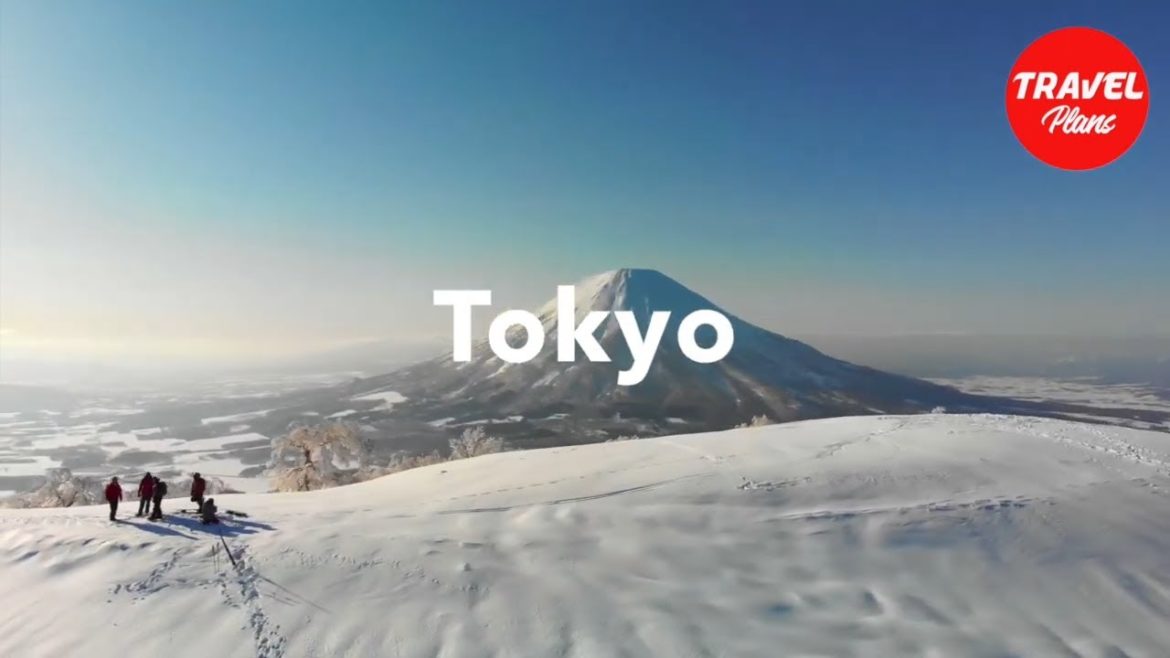 #Travel to #Tokyo. #Interesting #facts about #Tokyo