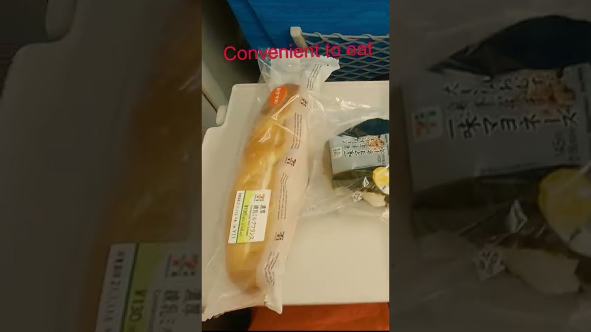 #shorts #bullettrain  #shinkansen #japan #japanvlogs | Full video link in description👇..