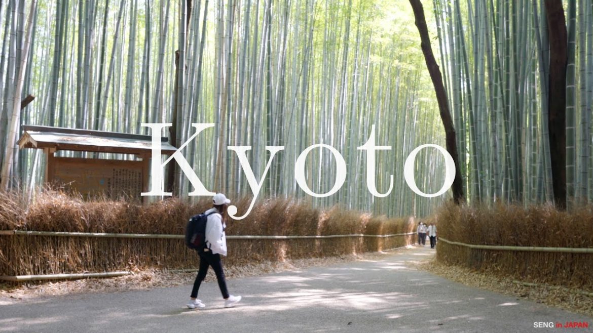 A Summer Day in Kyoto | 京都 |  ကျိုတိုမြို့ဆီ