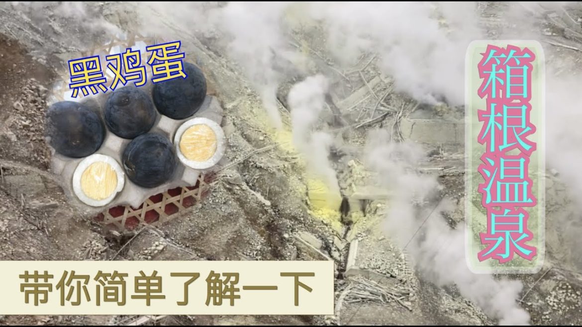 箱根温泉: Mount View Hakone マウントビュー箱根