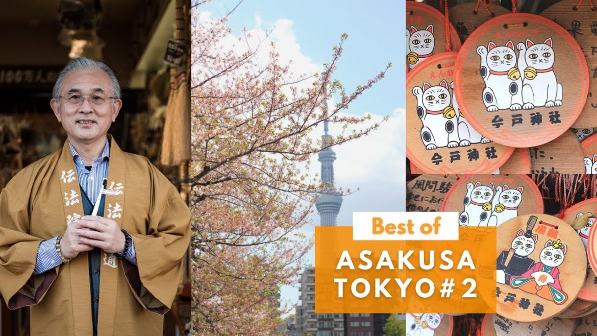 Why should you visit Asakusa? 😉 Why should you visit Asakusa? 😉