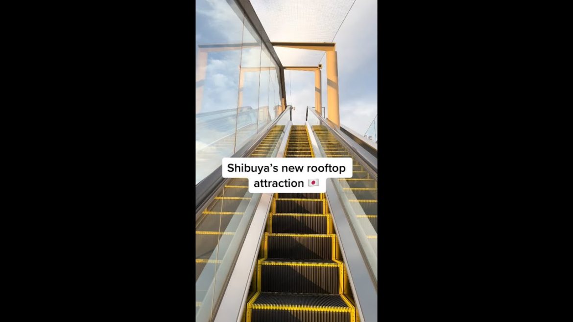 Shibuya’s new rooftop attraction 😍
