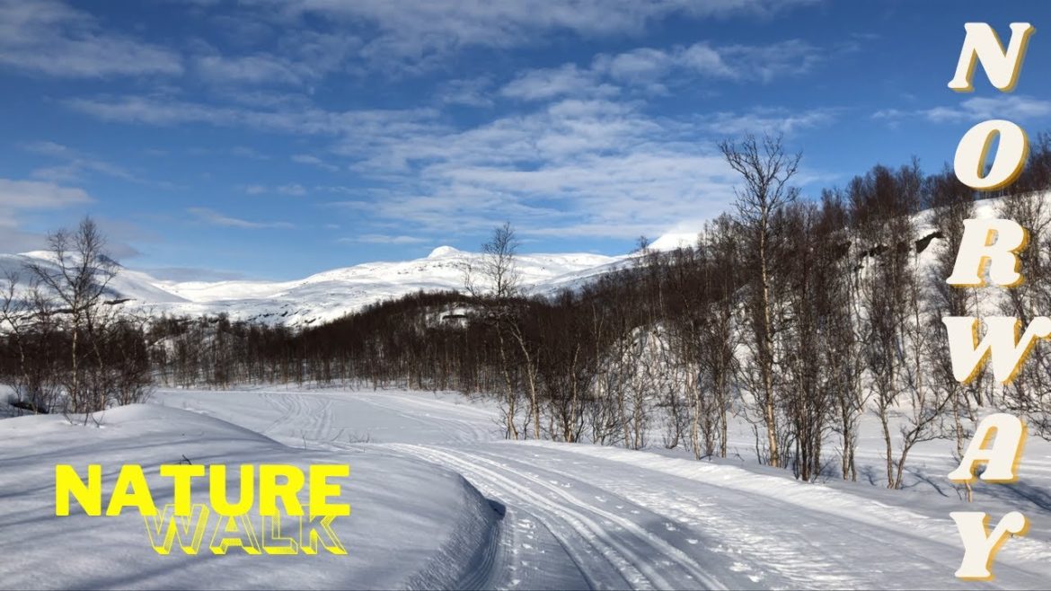Virtual walking tour - relaxing nature walk - ASMR snow crunching sounds - Sulitjelma, Norway