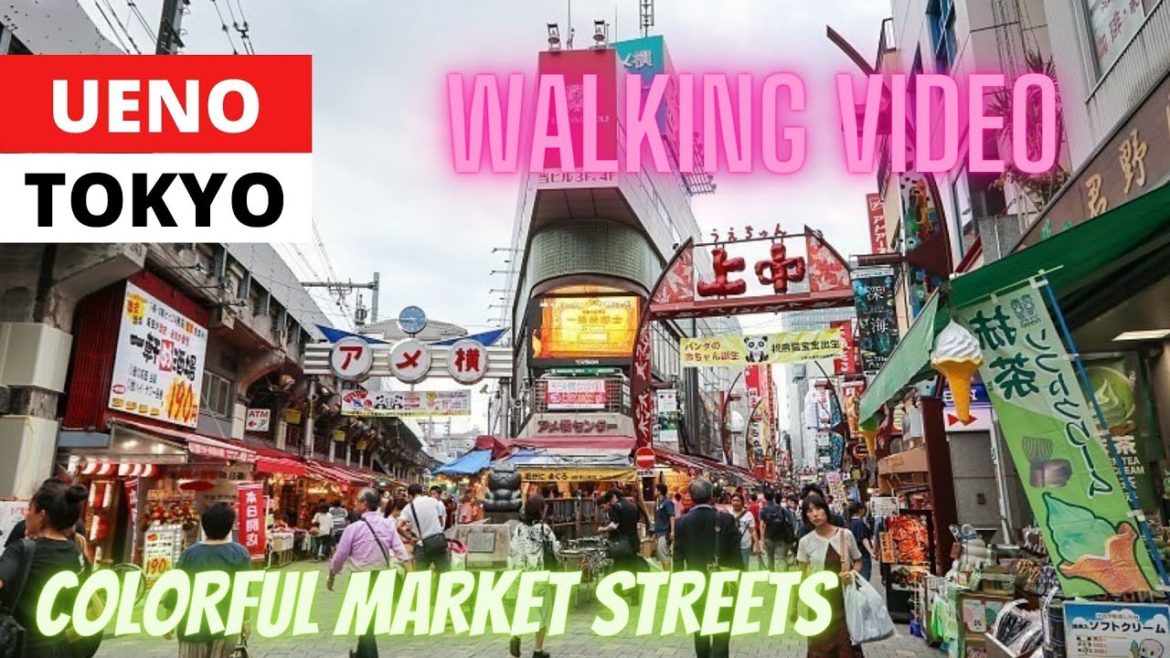 UENO SHOPPING STREET WALKING TOUR VIDEO | UENO, TOKYO, JAPAN | JAPAN TRAVEL VLOG | MAMUN CHOWDHURY
