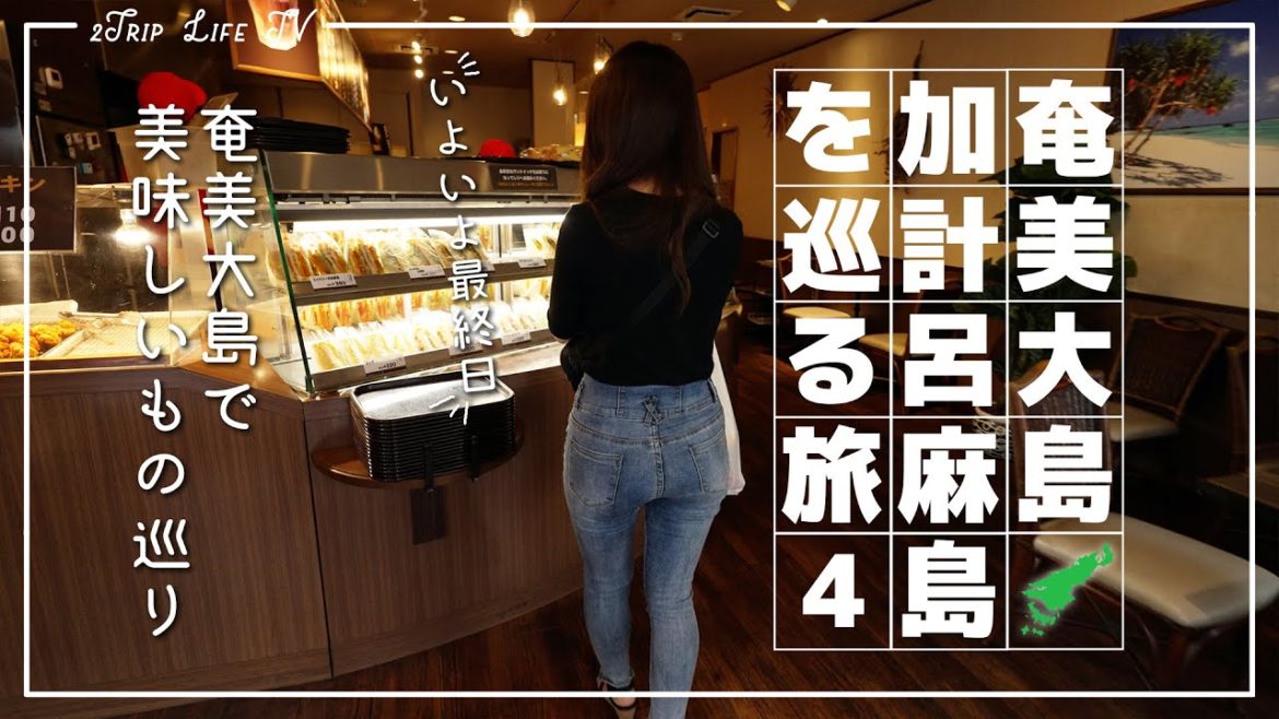 【鹿児島・奄美大島・加計呂麻島】#4 最終日の奄美の過ごし方・噂のサンドイッチカフェ・マングローブ・滝 | 観光ガイド | 旅行vlog | AmamiOshima | 4K 【鹿児島・奄美大島・加計呂麻島】#4 最終日の奄美の過ごし方・噂のサンドイッチカフェ・マングローブ・滝 | 観光ガイド | 旅行vlog | AmamiOshima | 4K